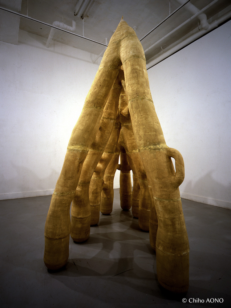 a natural law_02